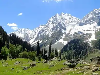 Kashmir