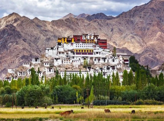 Thiksey Monastery